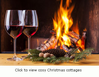 cottages south coast to rent for christmas week